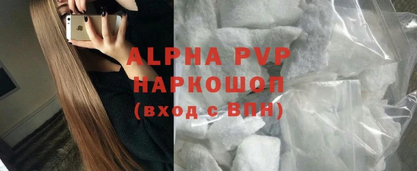 spice Инта